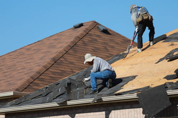 Best Roof Insulation Installation  in Georgetown, DE